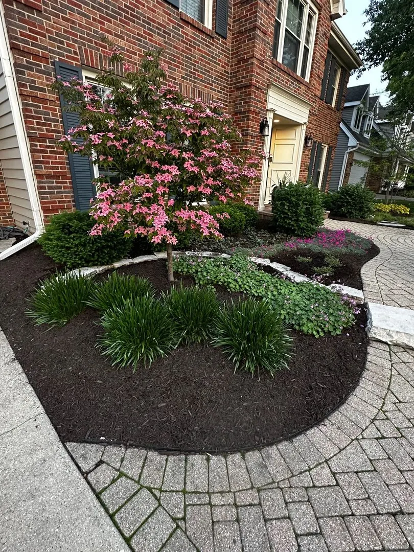 2S481 White Birch Lane IL