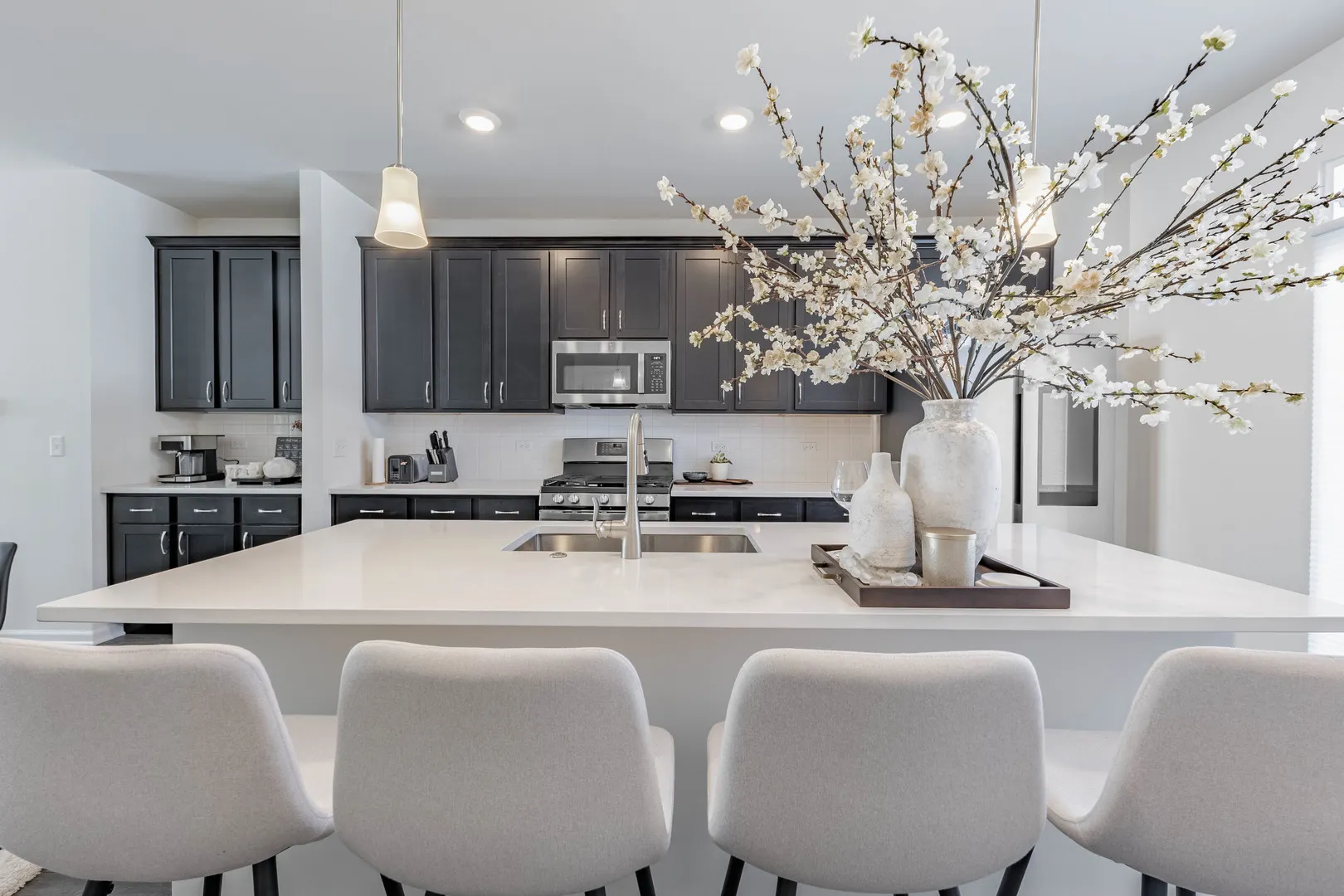 1050 E Oakton Street IL