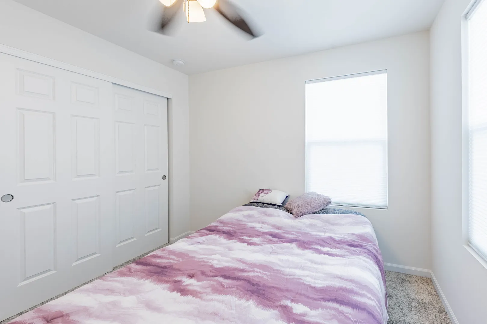 1050 E Oakton Street IL