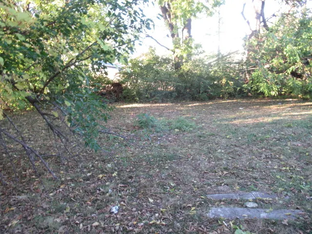 1204 W Hill Street IL