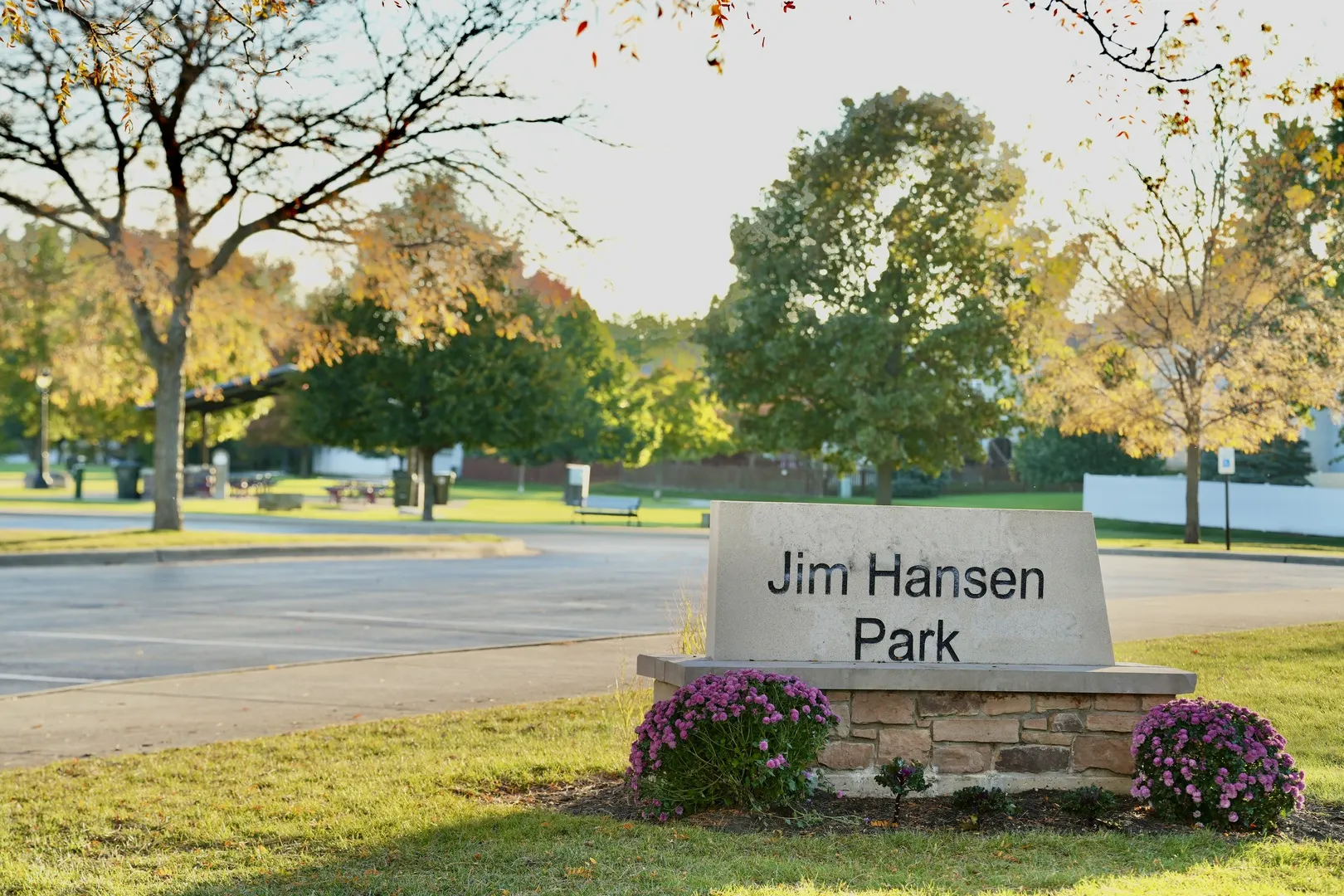 784 Medford Drive IL