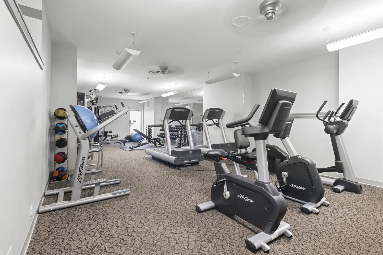 6301 N Sheridan Road 11A IL