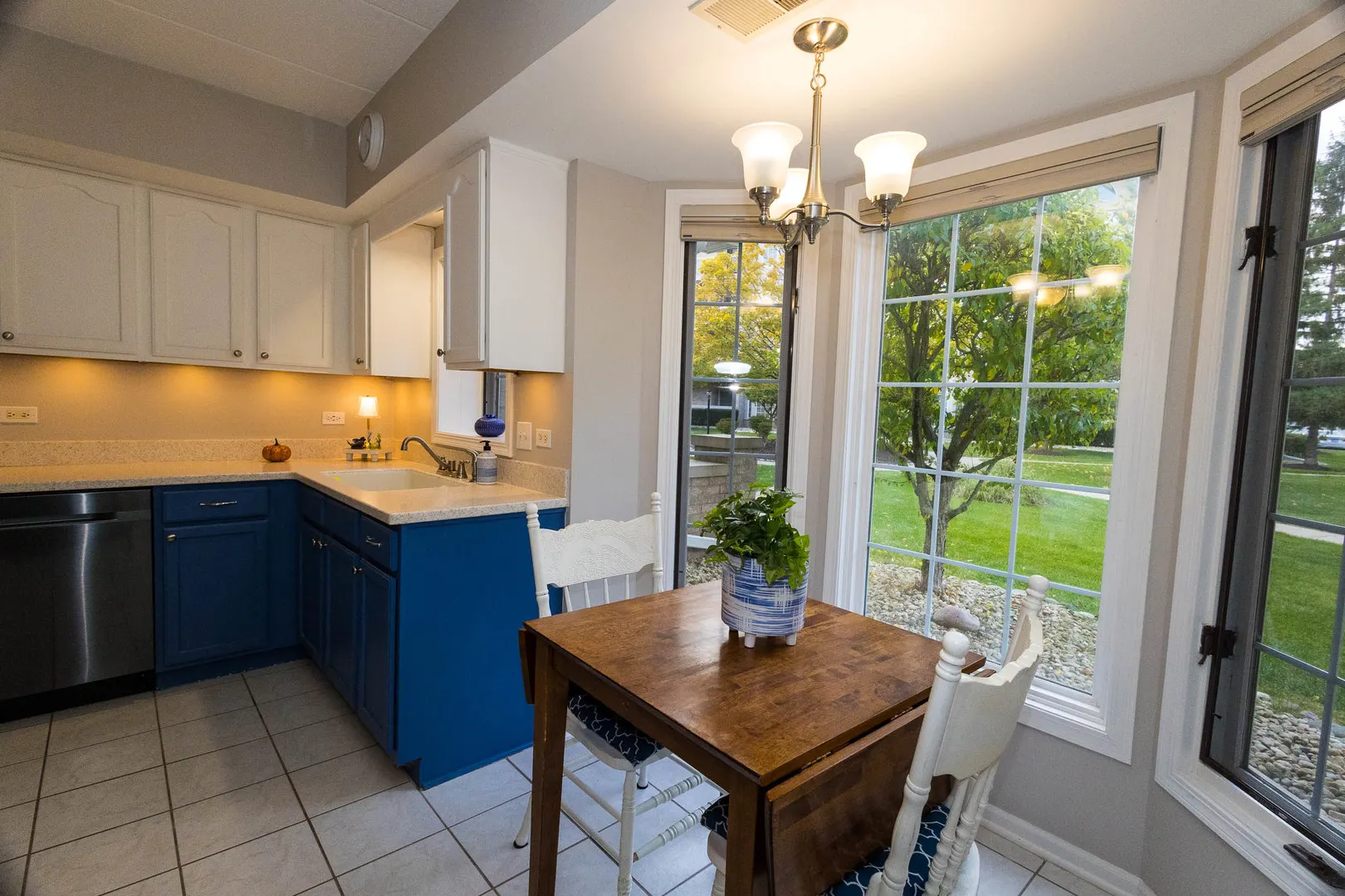 7755 BRISTOL PARK Drive 1NE IL