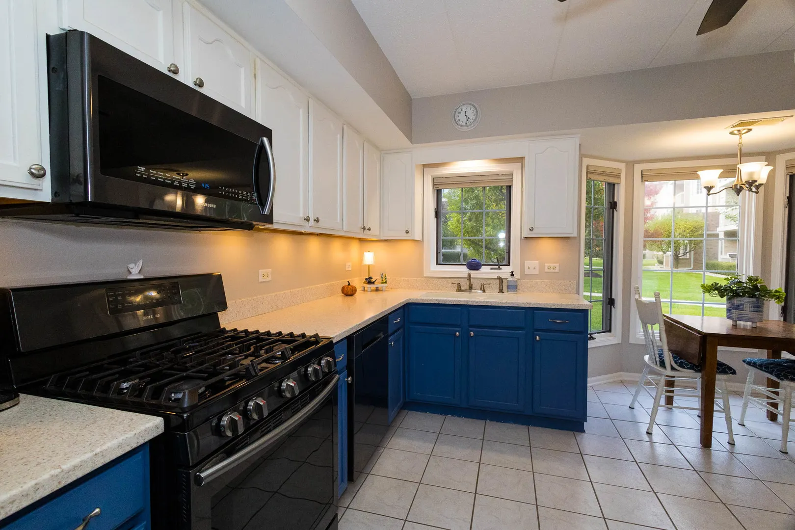 7755 BRISTOL PARK Drive 1NE IL