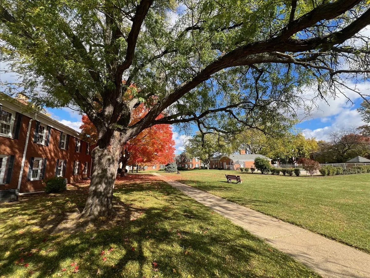 511 COVENTRY Lane 2 IL