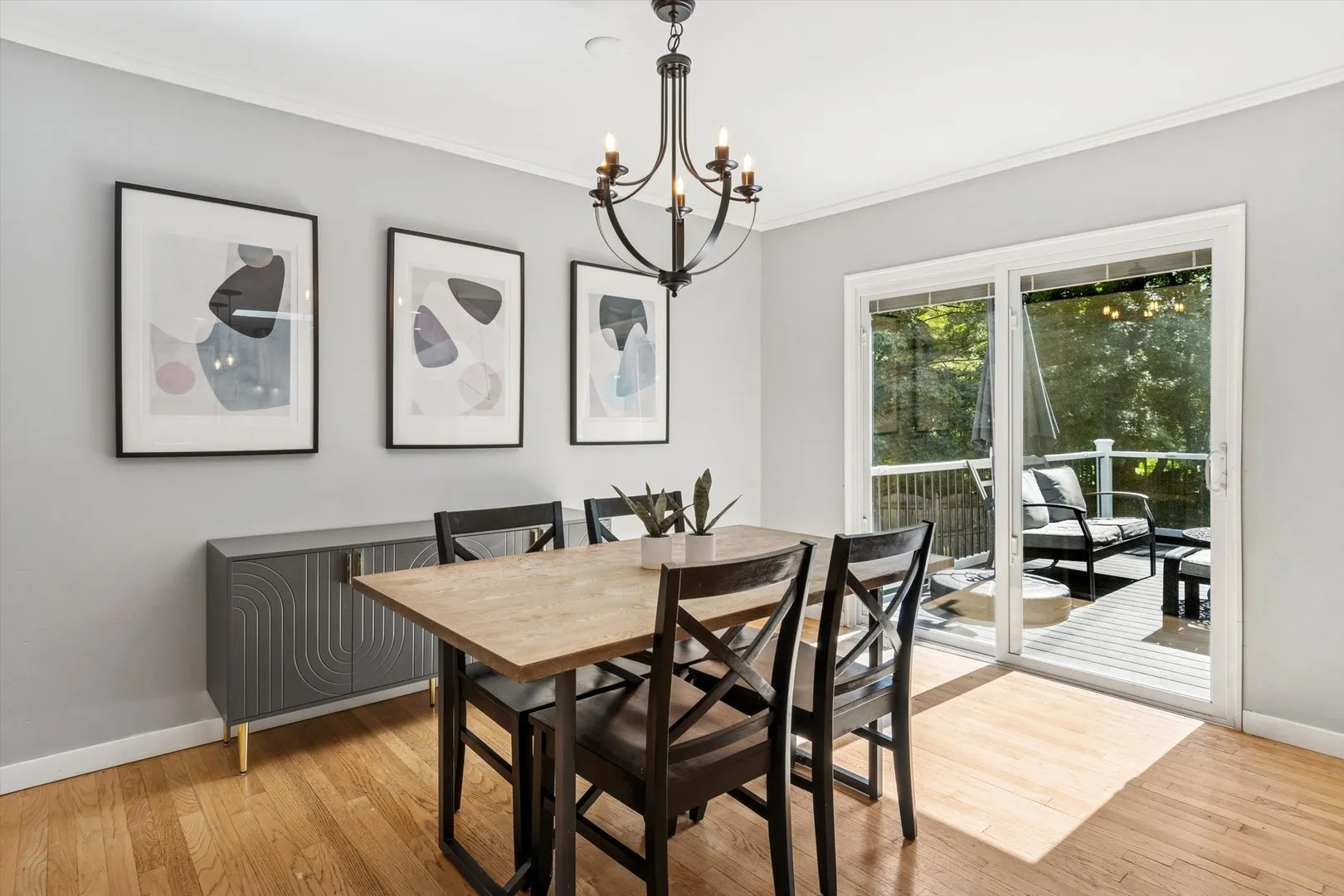 24331 Davids Court IL