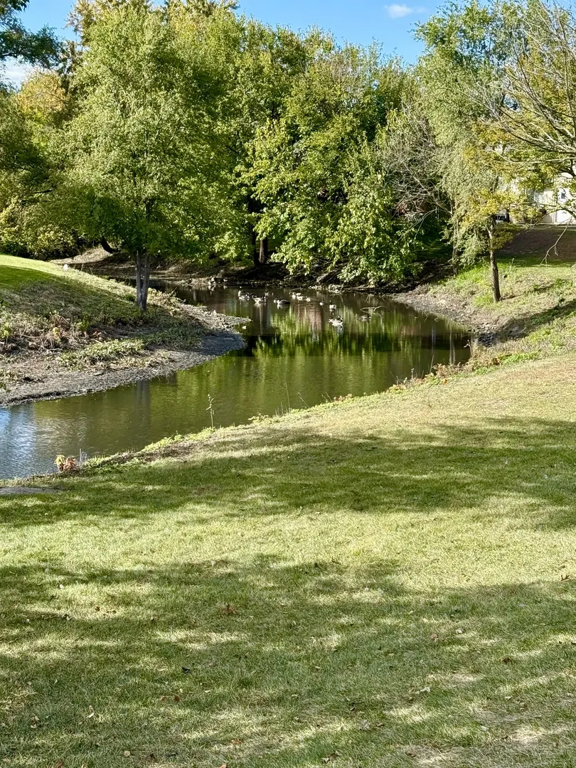 10420 Circle Drive 25B IL