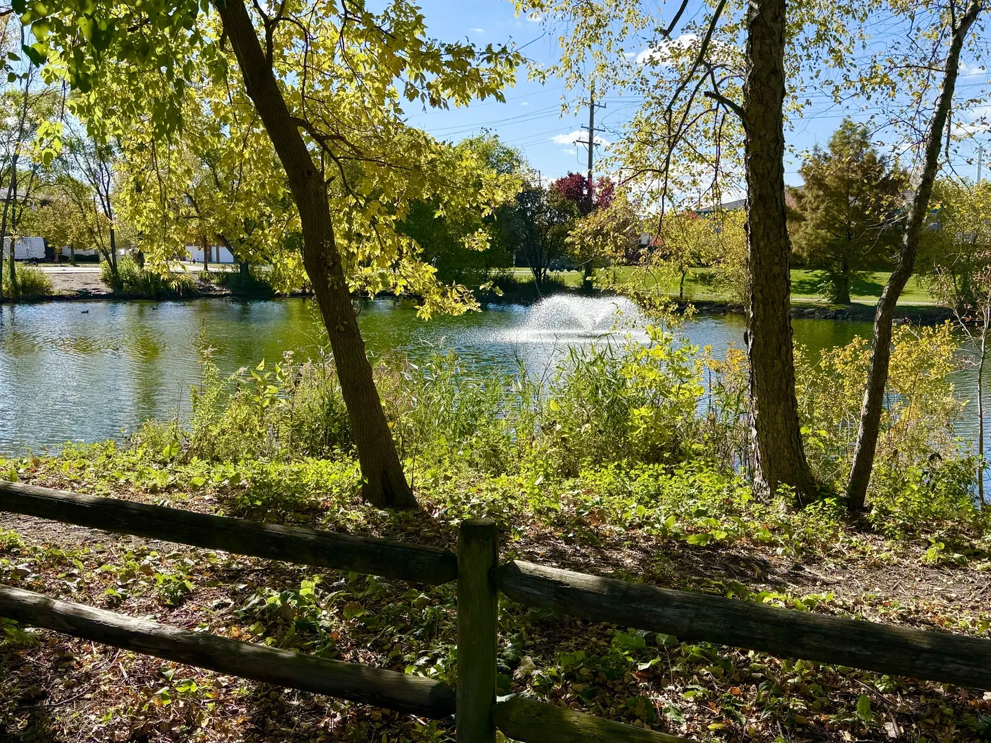 10420 Circle Drive 25B IL