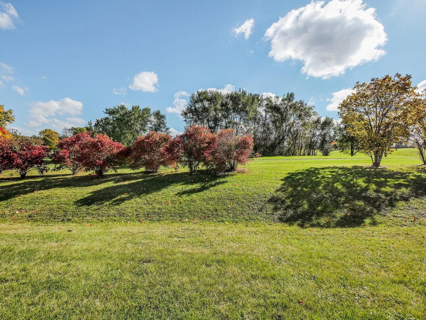 324 English Oak Lane IL