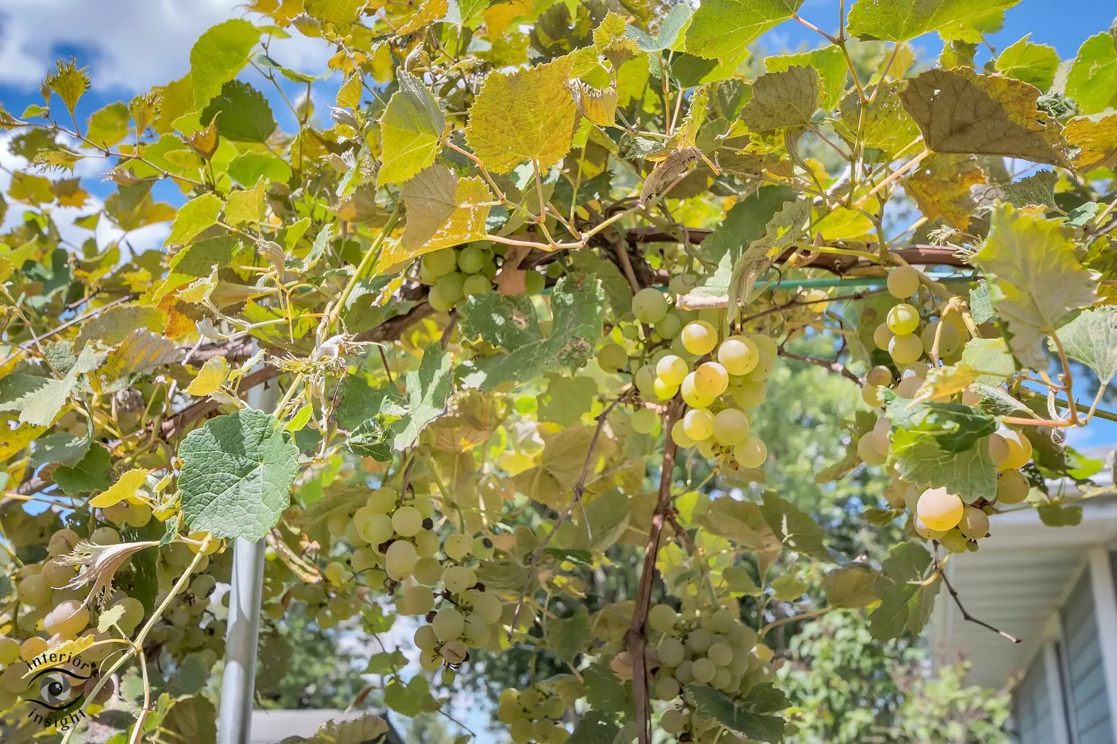 2434 N 7000W Road IL