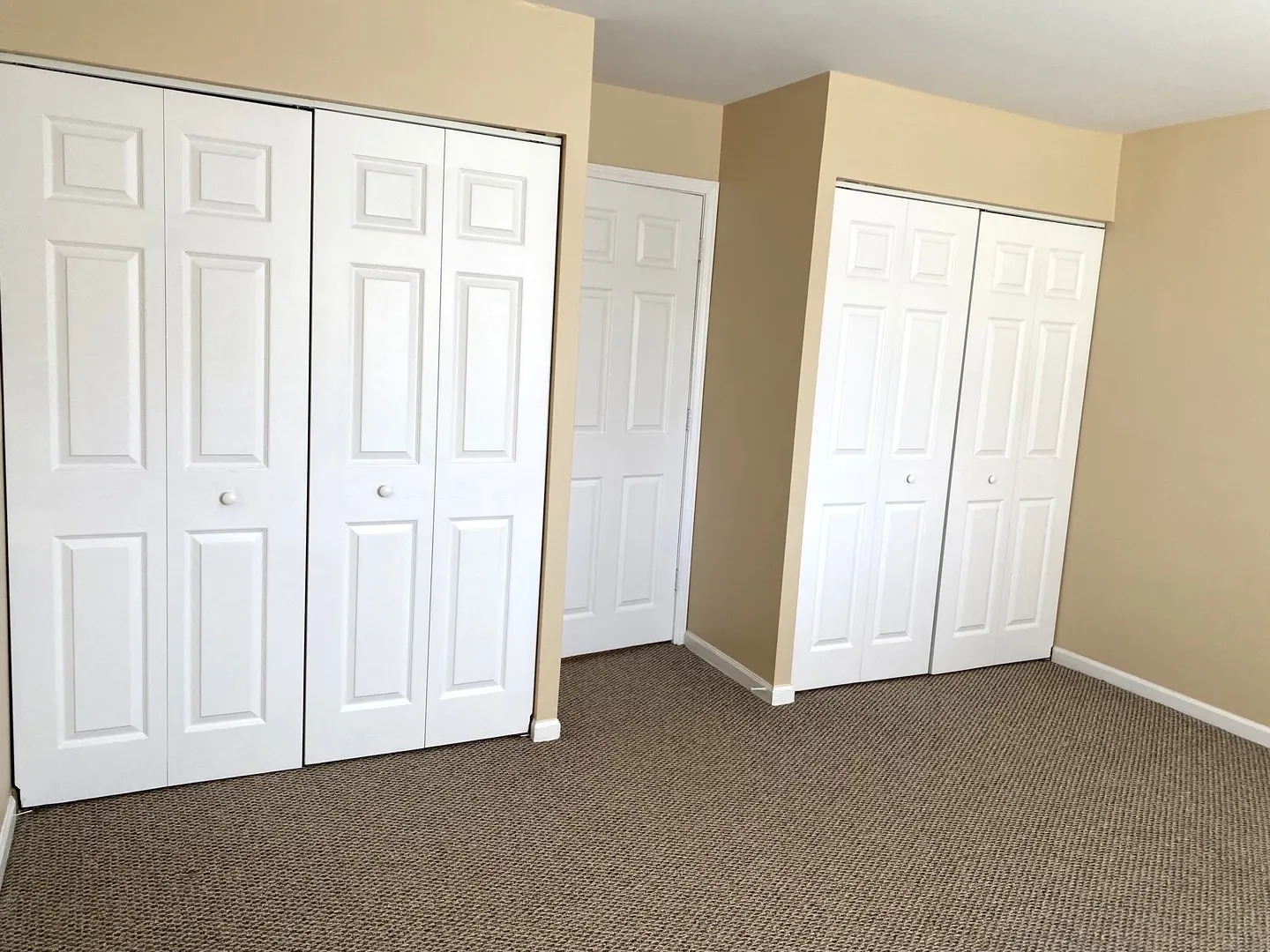 1619 N Windsor Drive 212 IL