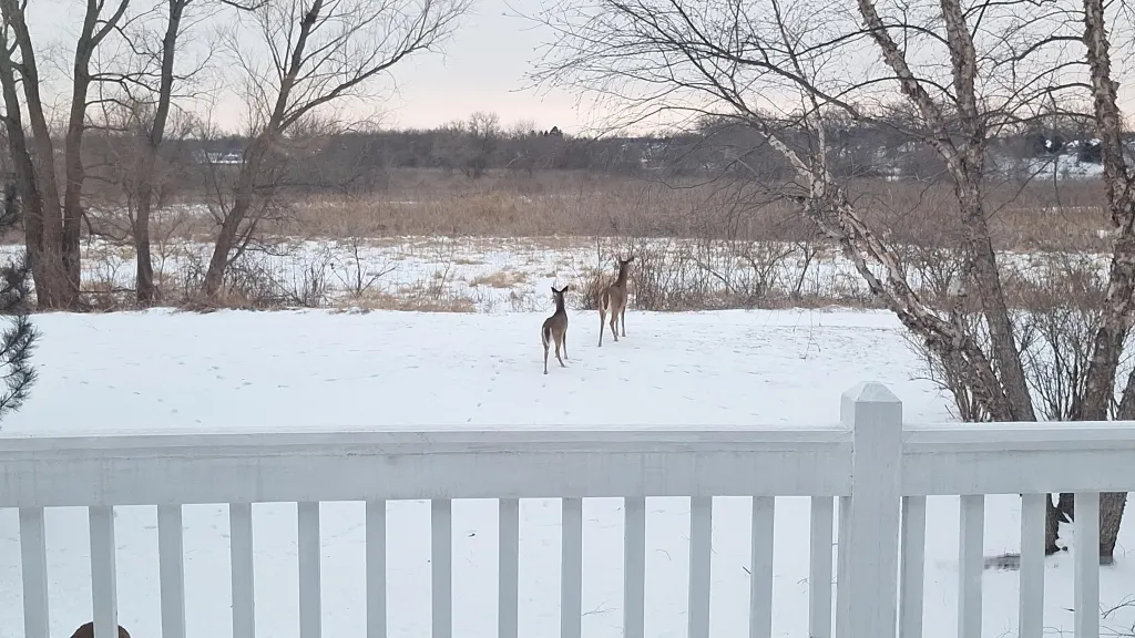 12255 Wildflower Lane IL