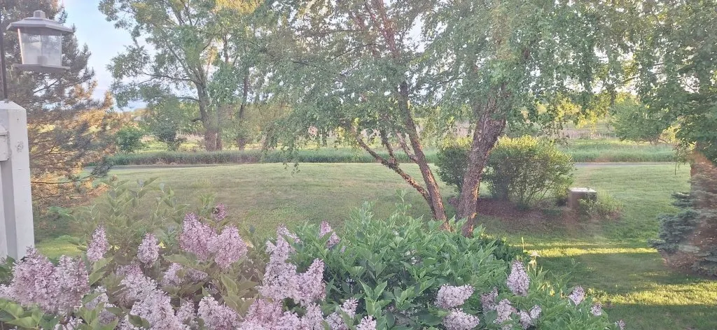 12255 Wildflower Lane IL