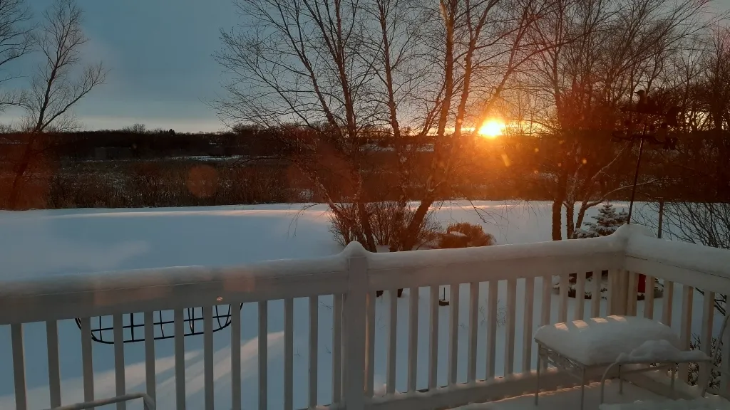 12255 Wildflower Lane IL