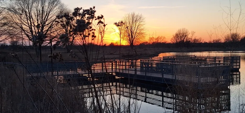 12255 Wildflower Lane IL