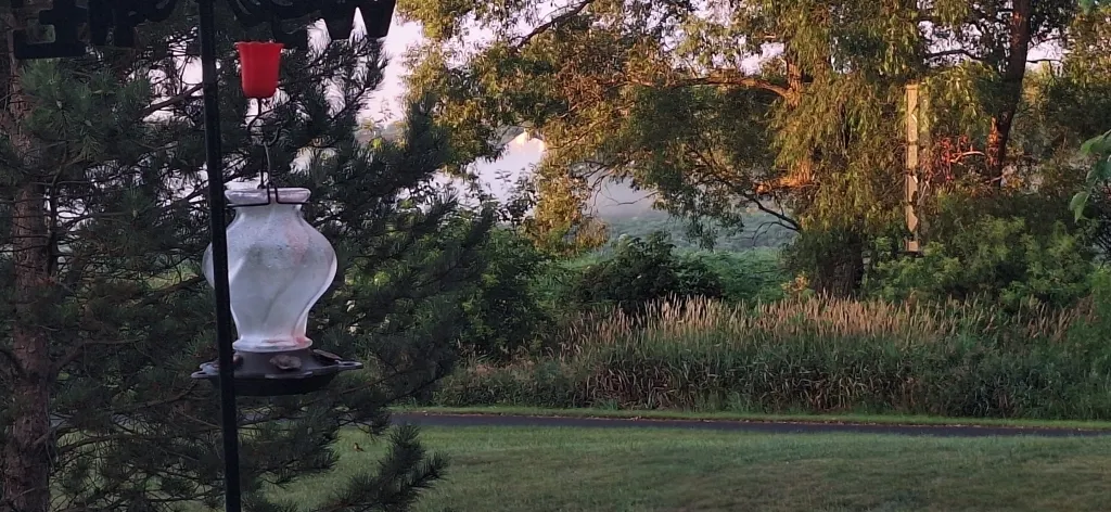 12255 Wildflower Lane IL