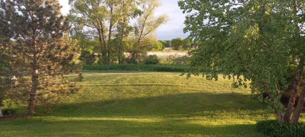 12255 Wildflower Lane IL