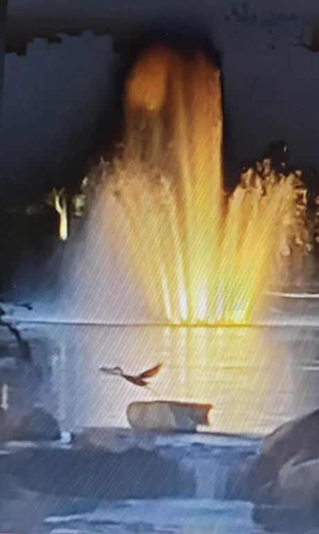 12255 Wildflower Lane IL