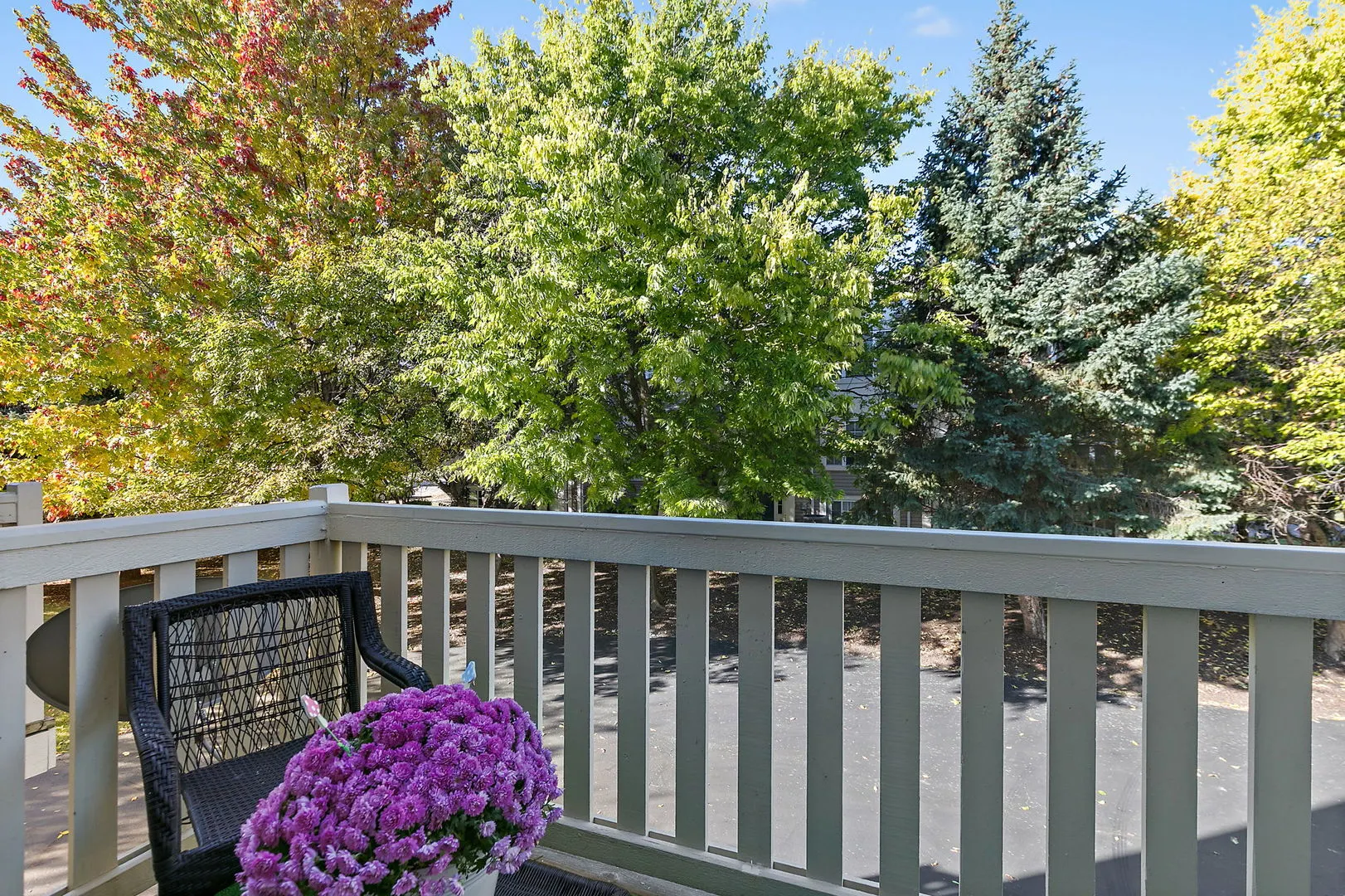 2573 Canyon Drive IL