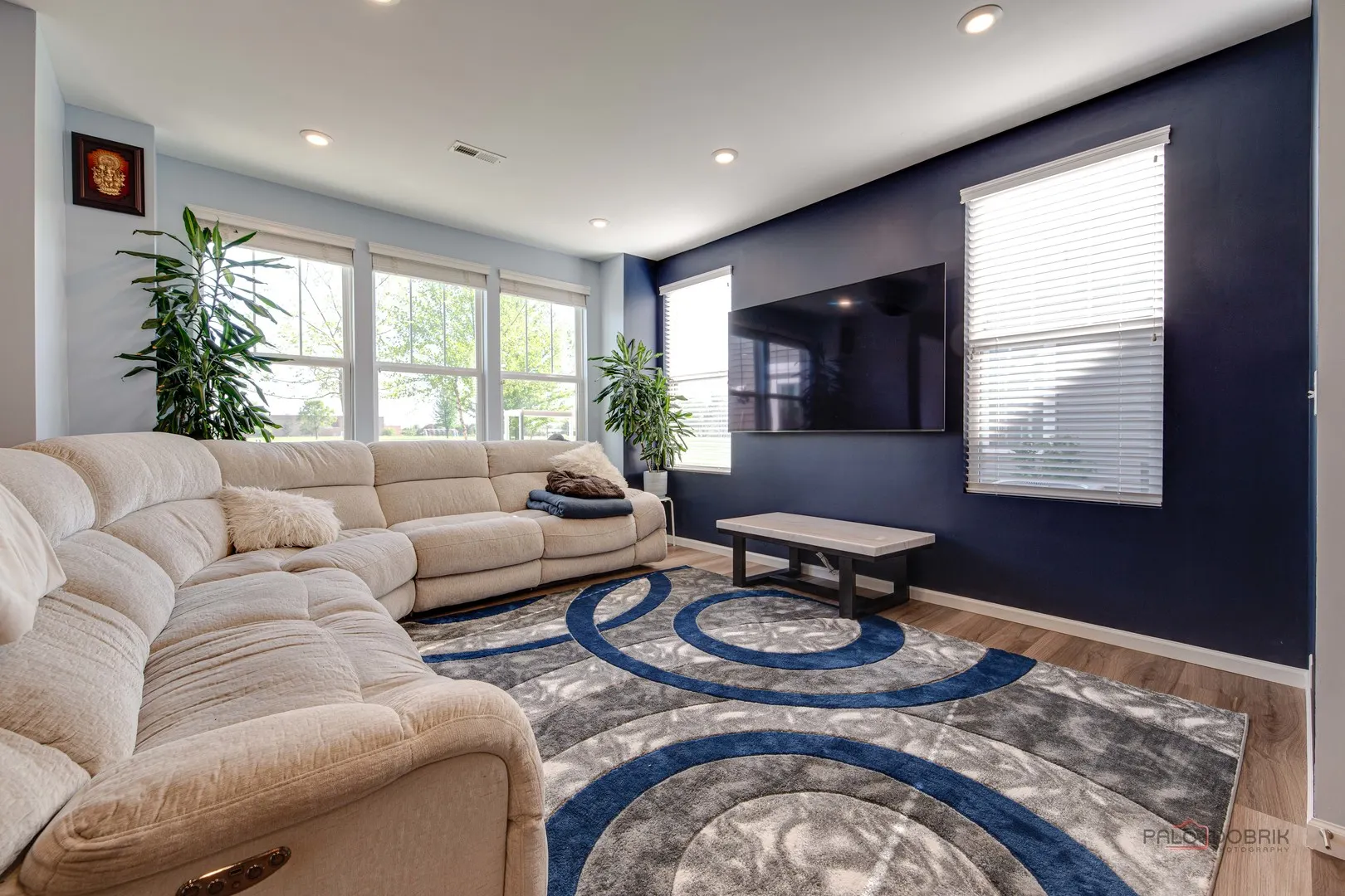 573 Watercress Drive IL