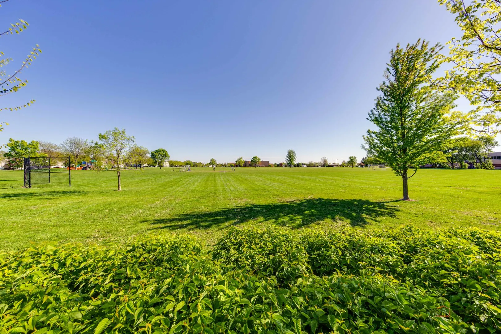 573 Watercress Drive IL