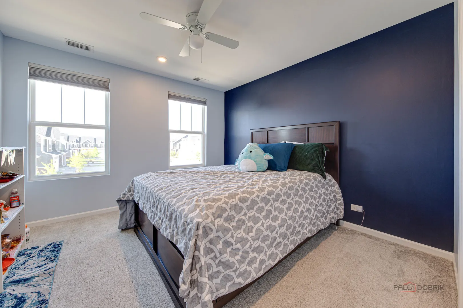 573 Watercress Drive IL