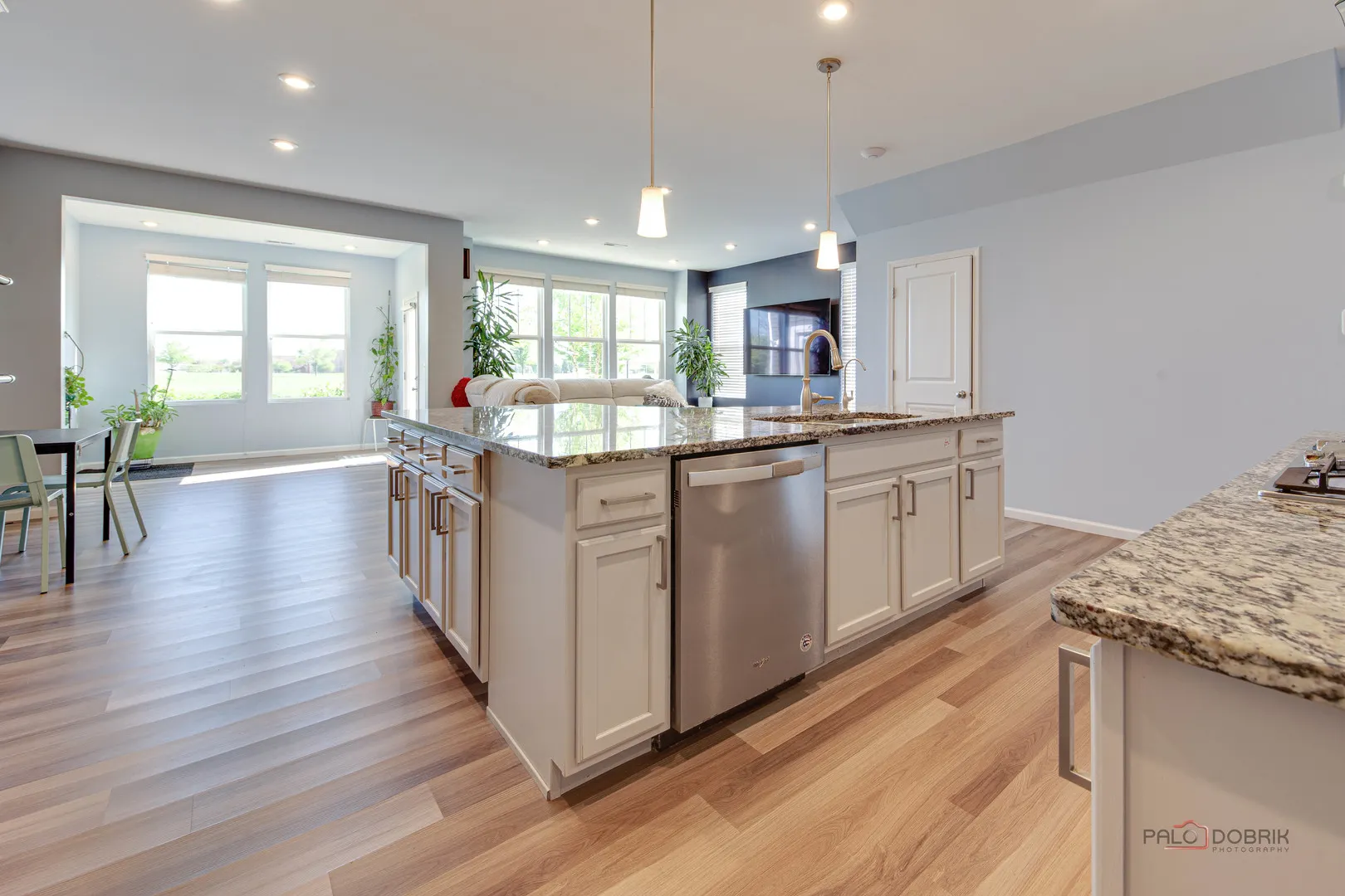 573 Watercress Drive IL