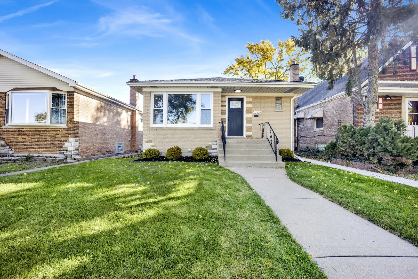 12309 S Loomis Street IL