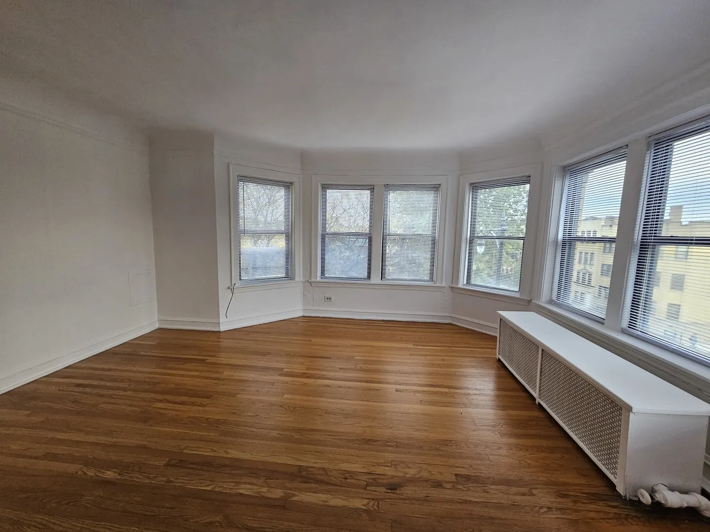 5503 N Campbell Avenue 3 IL