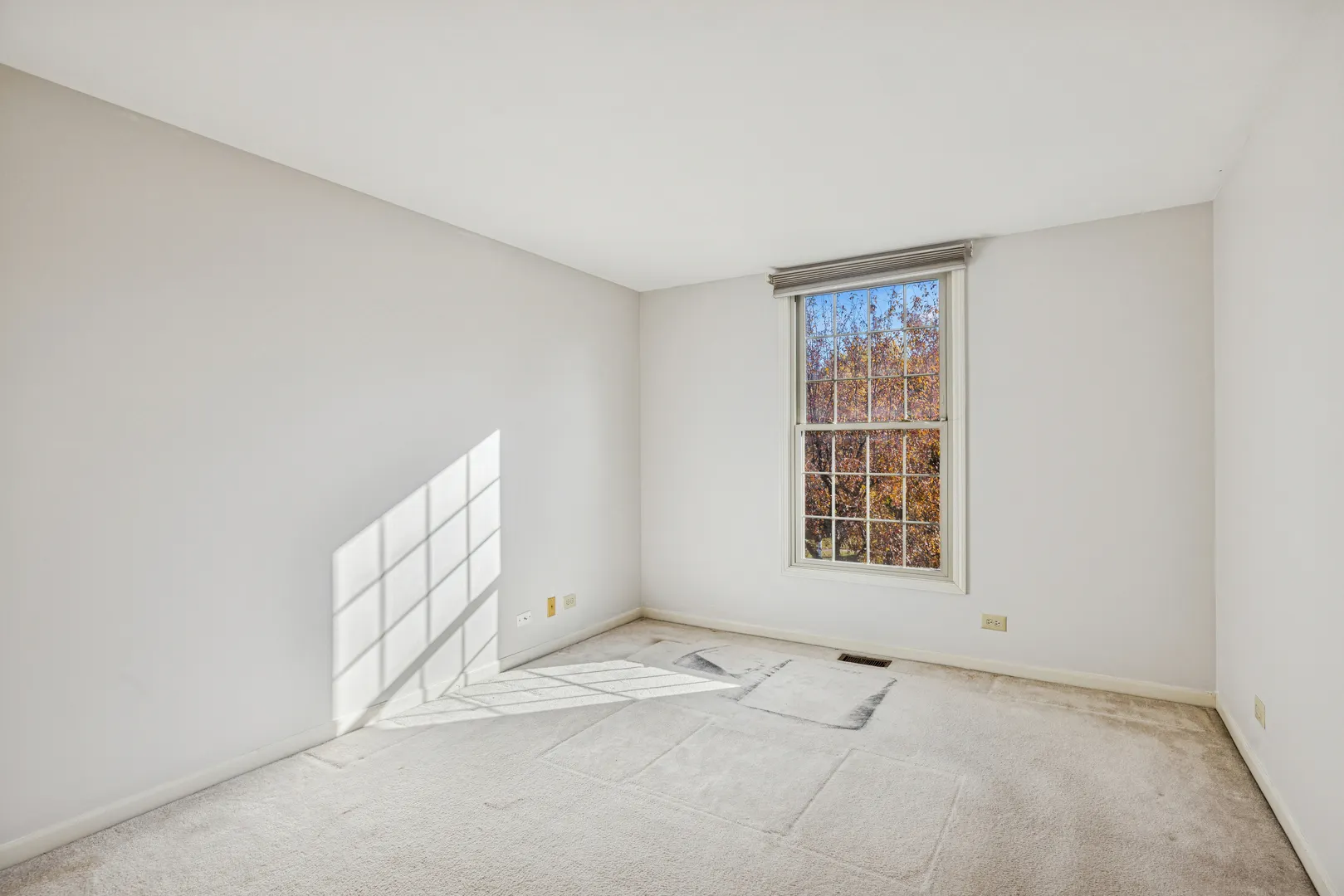 1420 Trailwood Drive IL