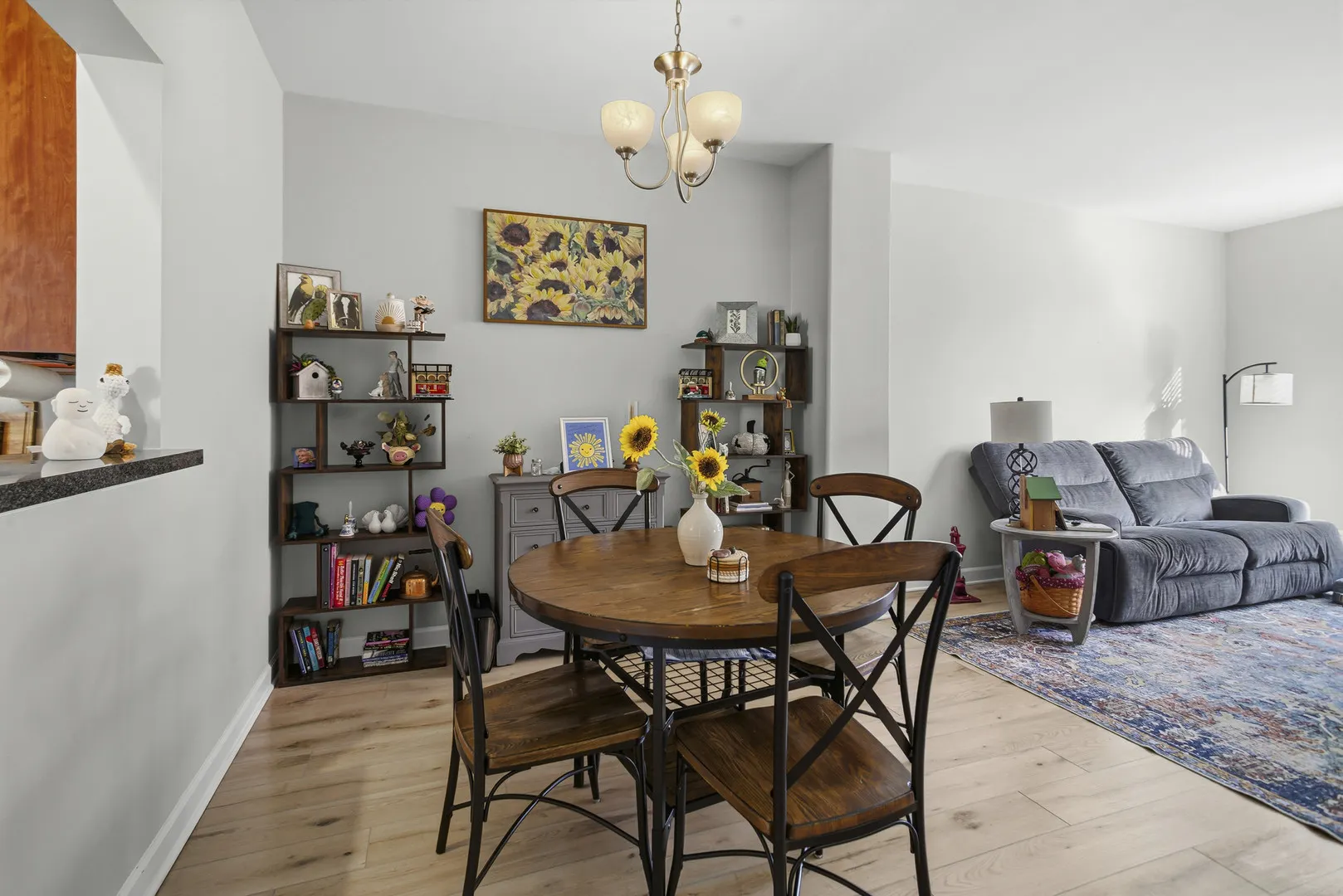 1436 NEW HAVEN Drive IL