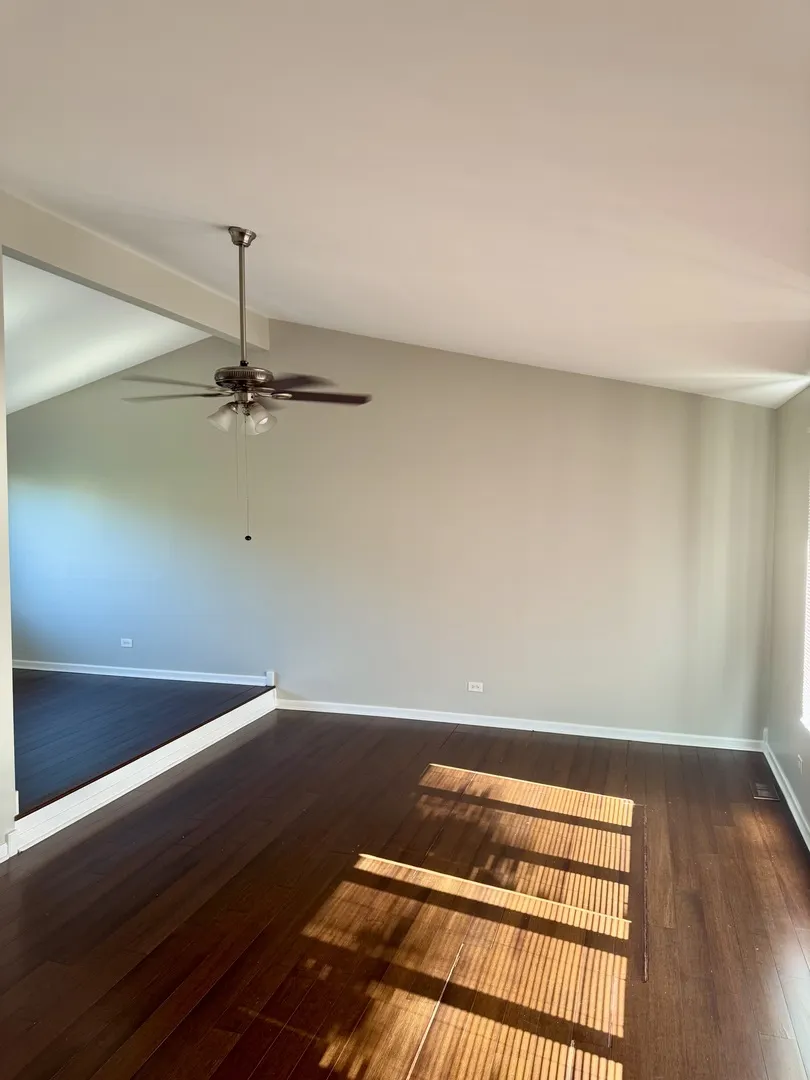 19002 SPRINGFIELD Avenue IL