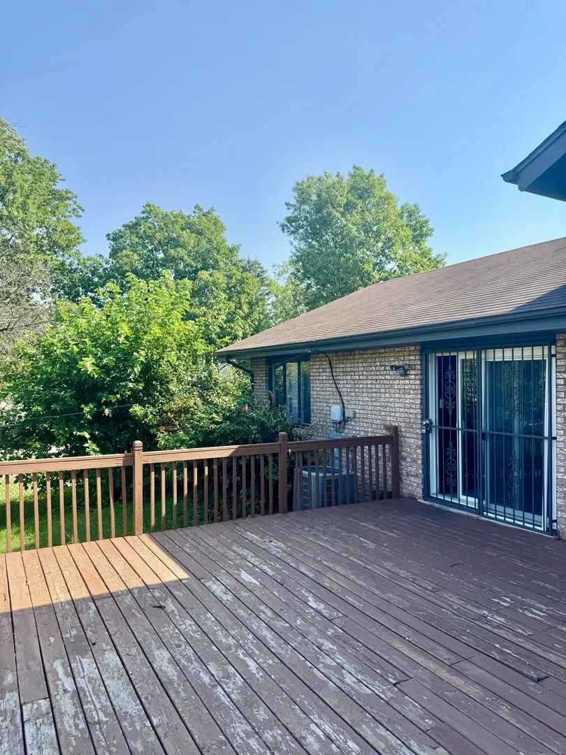 19002 SPRINGFIELD Avenue IL