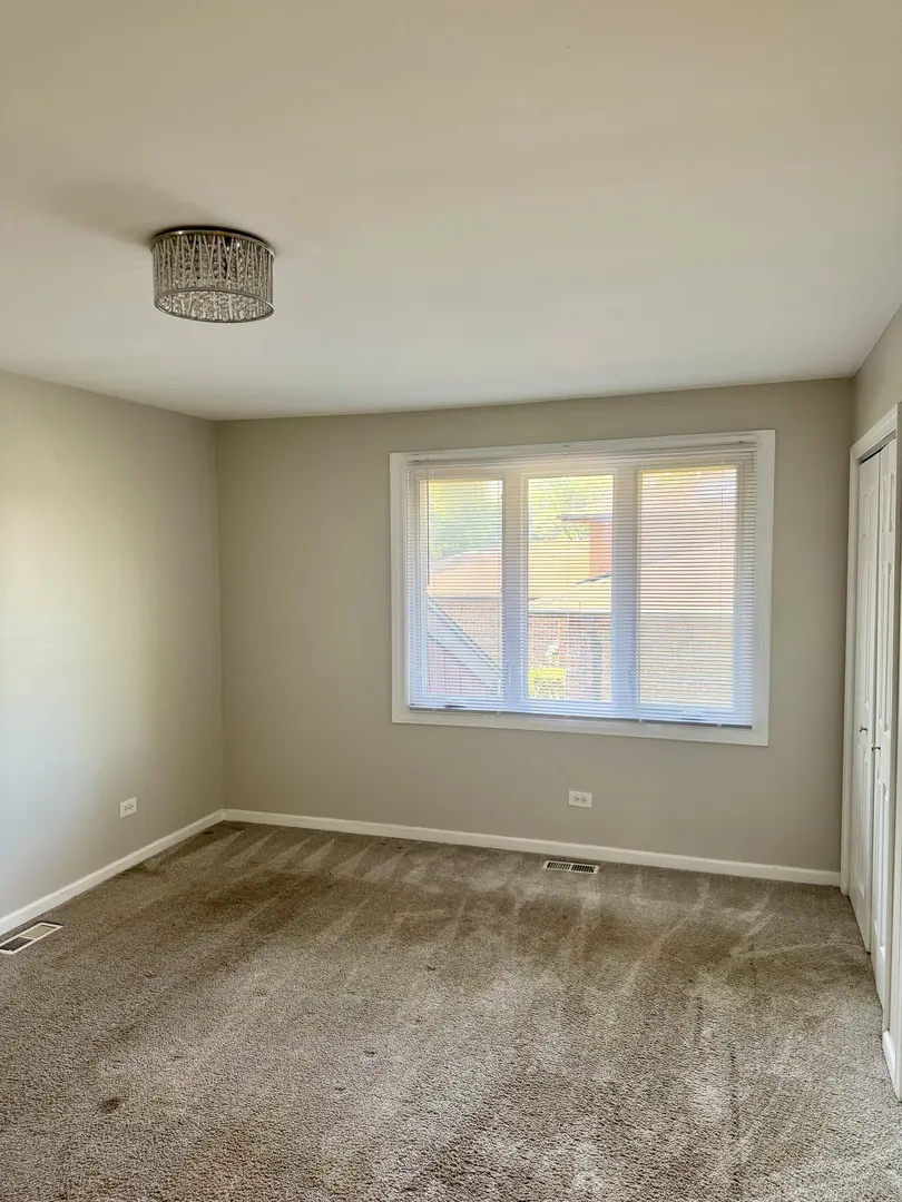 19002 SPRINGFIELD Avenue IL