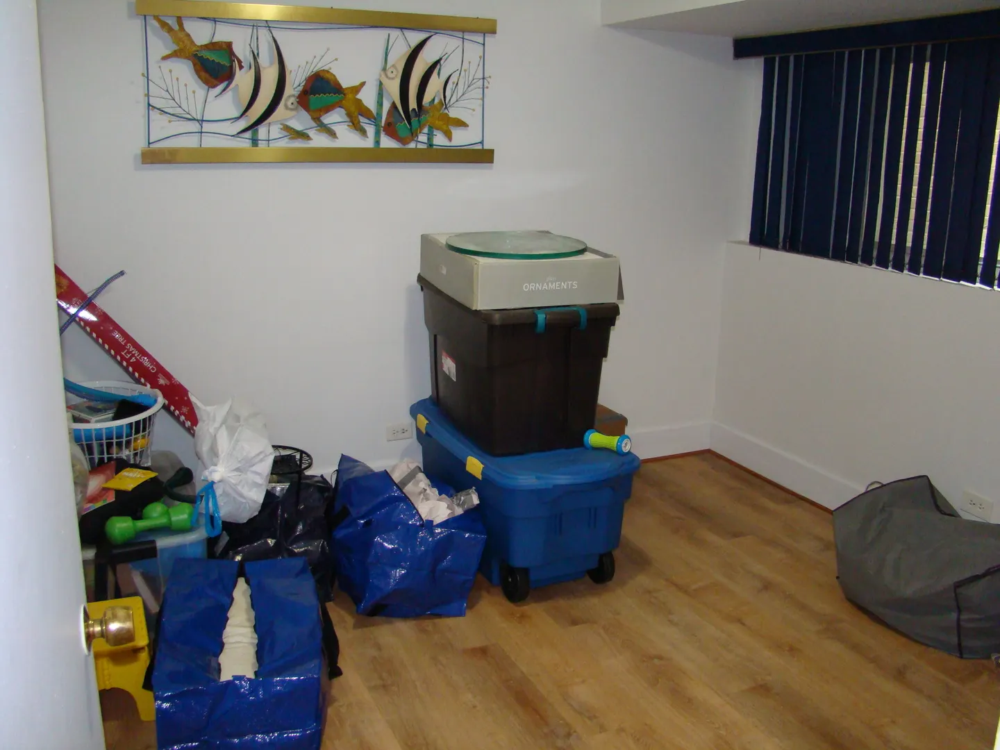 8732 S Calumet Avenue IL