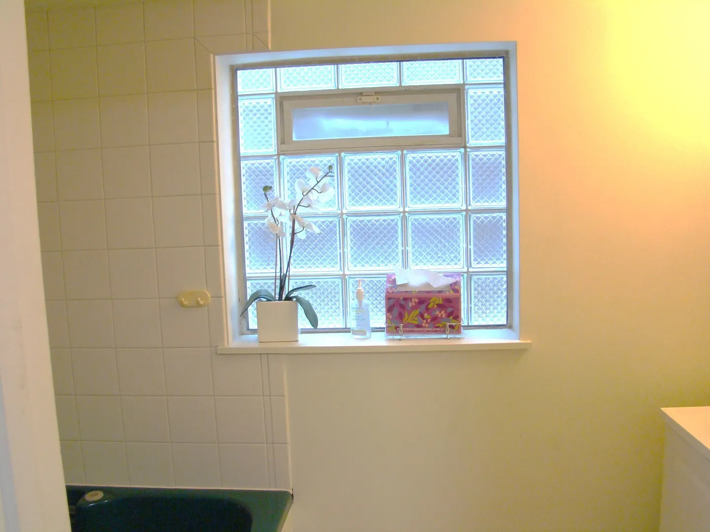 8732 S Calumet Avenue IL