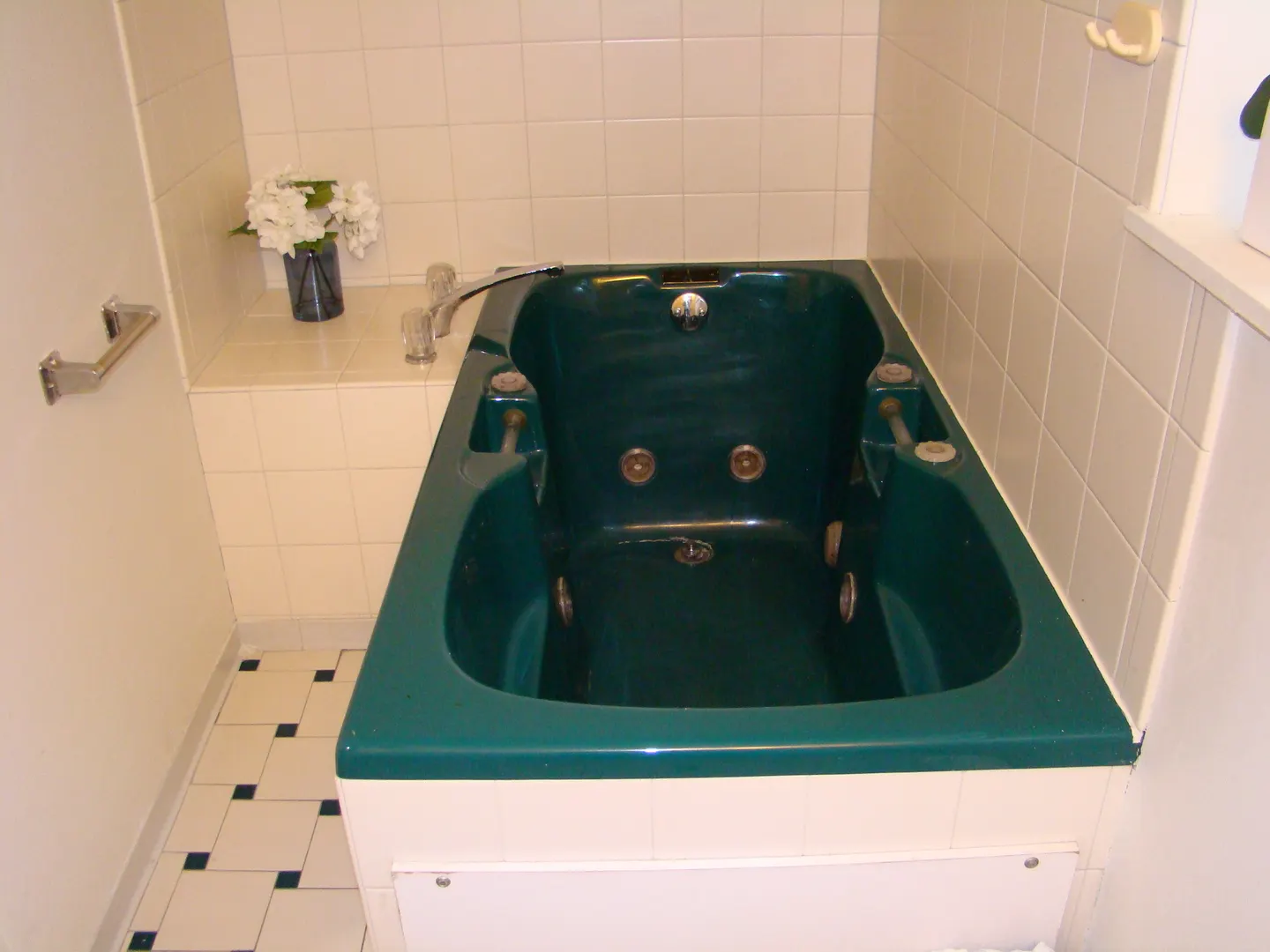 8732 S Calumet Avenue IL