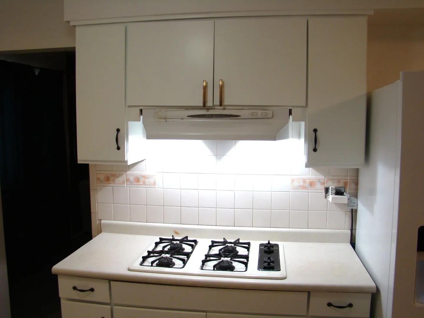 8732 S Calumet Avenue IL