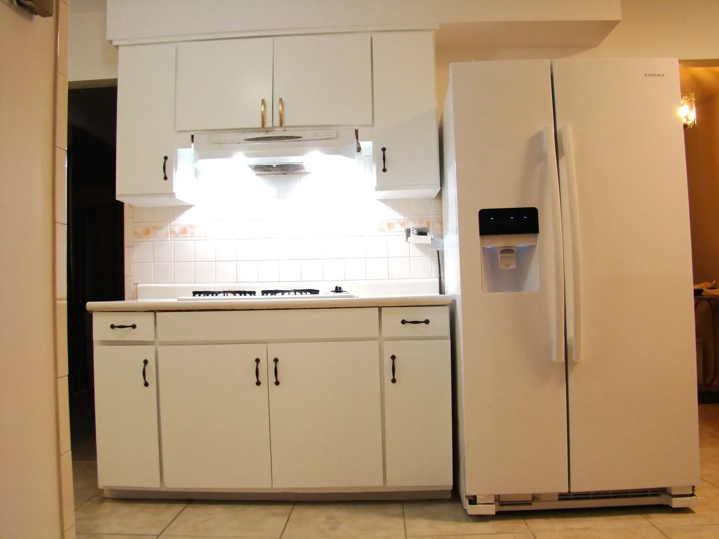 8732 S Calumet Avenue IL