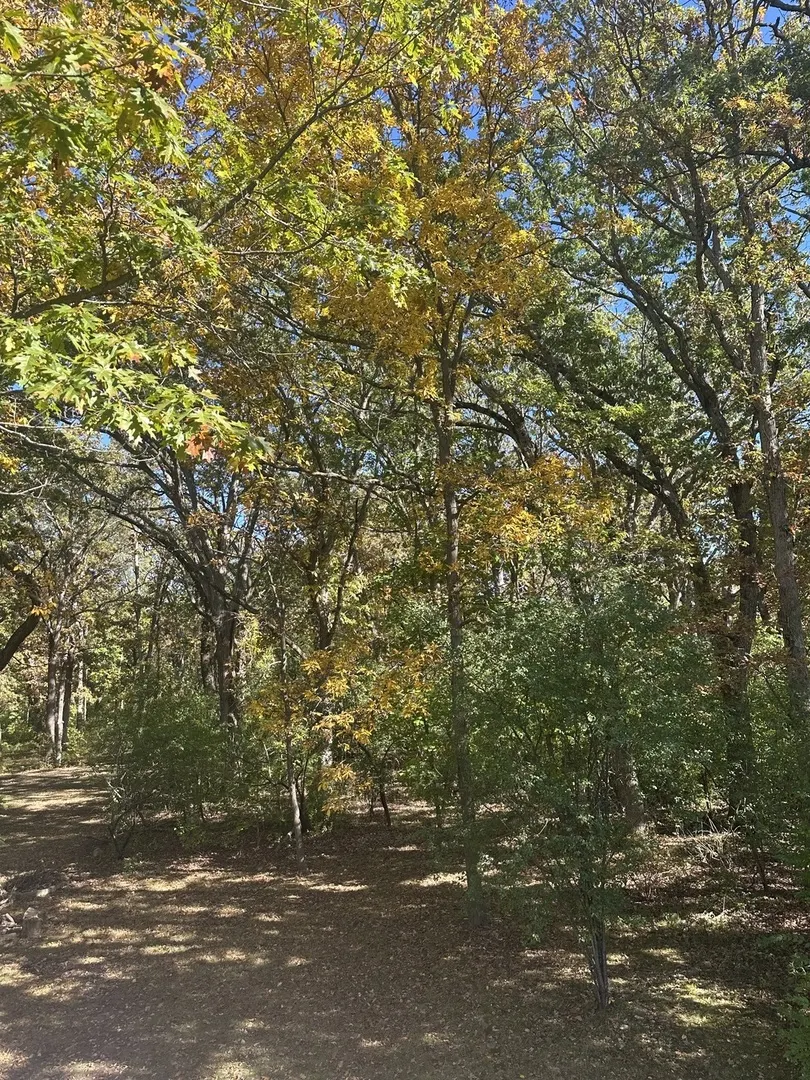 26220 N Midlothian Road IL