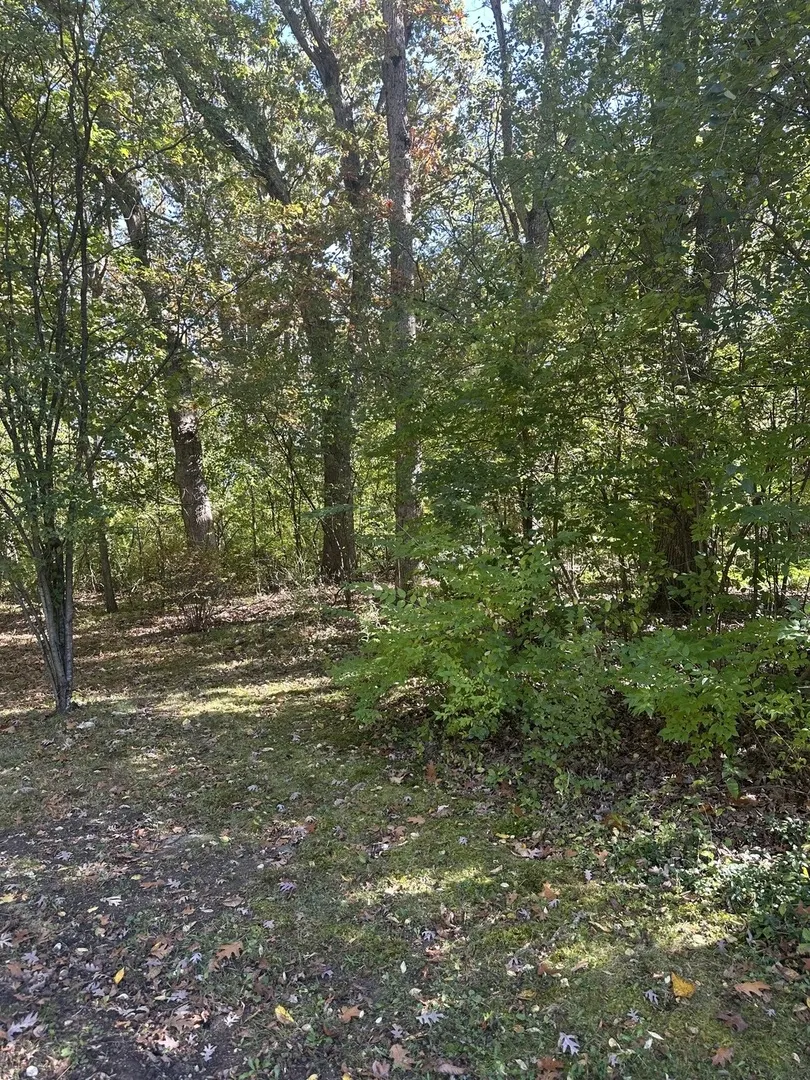 26220 N Midlothian Road IL