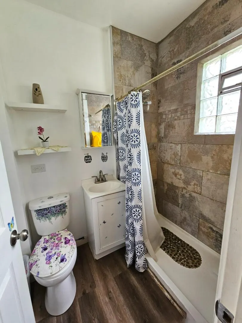 454 S Desplaines Street IL