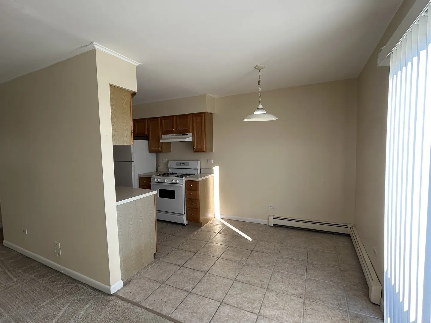 1120 Copperfield Lane E IL