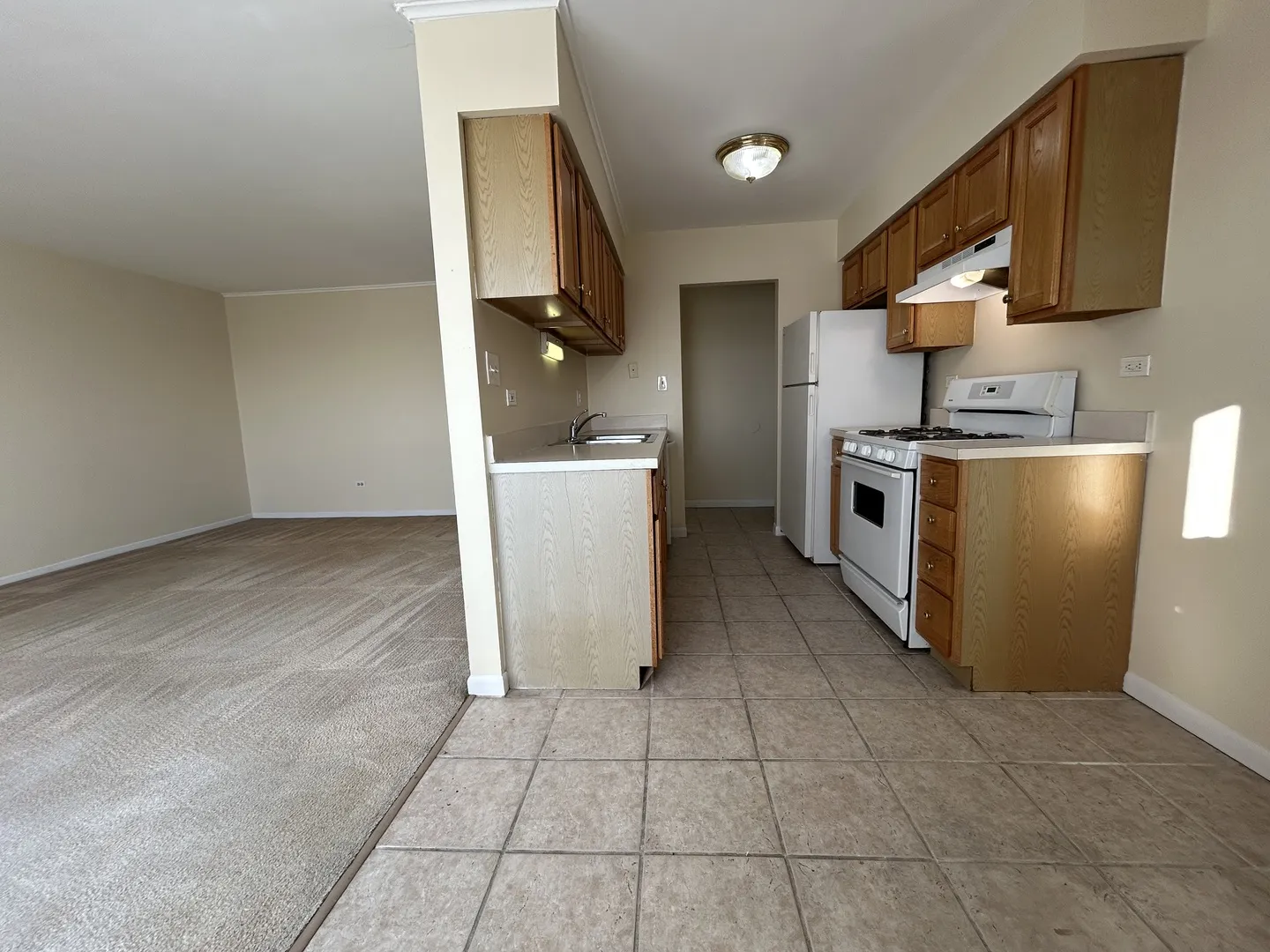 1120 Copperfield Lane E IL