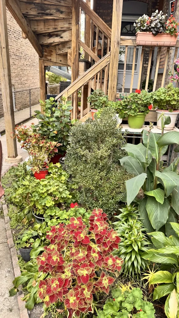 4441 N Central Park Avenue 2 IL