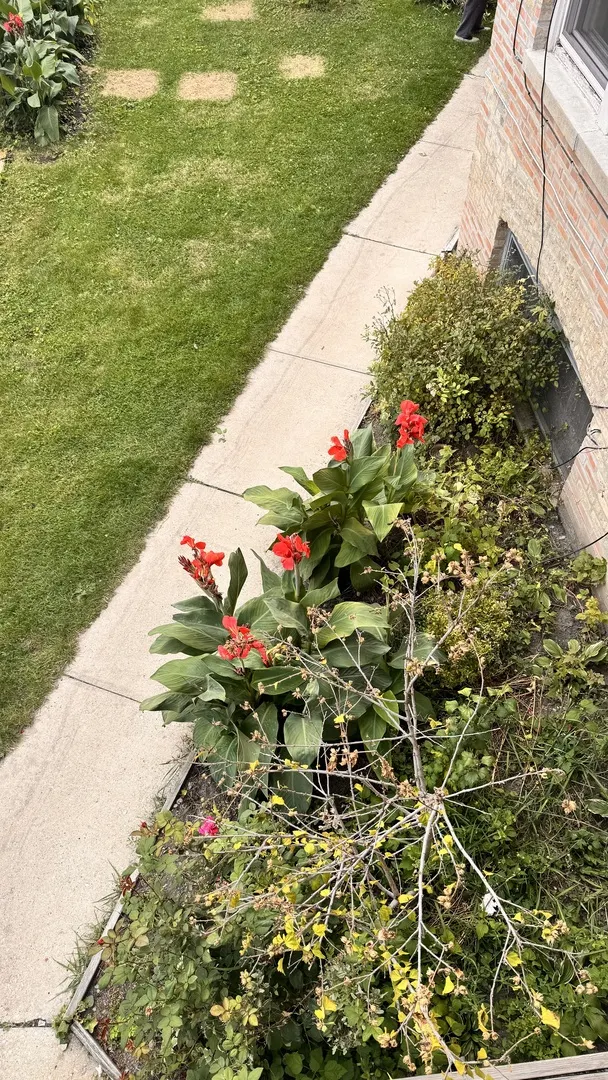 4441 N Central Park Avenue 2 IL