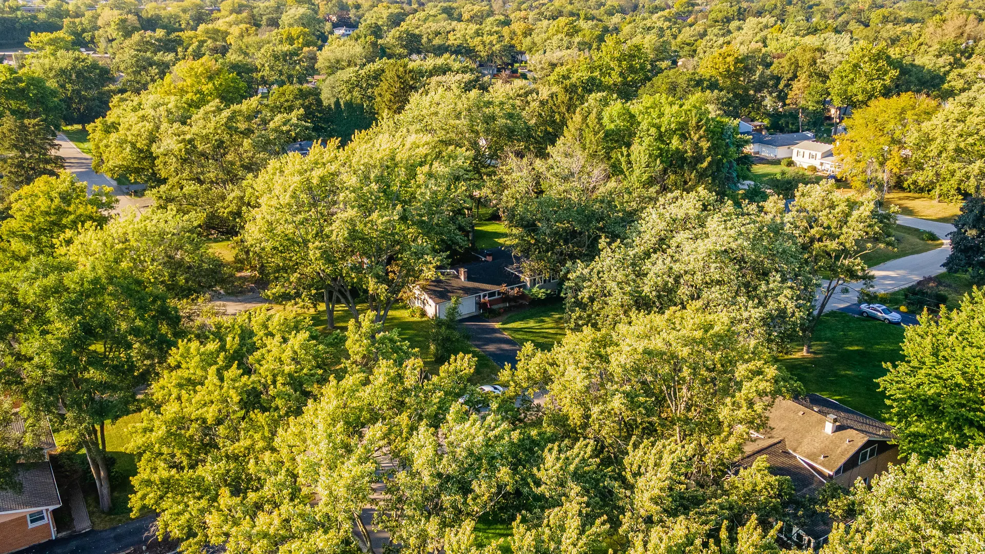 3S240 Burr Oak Drive IL