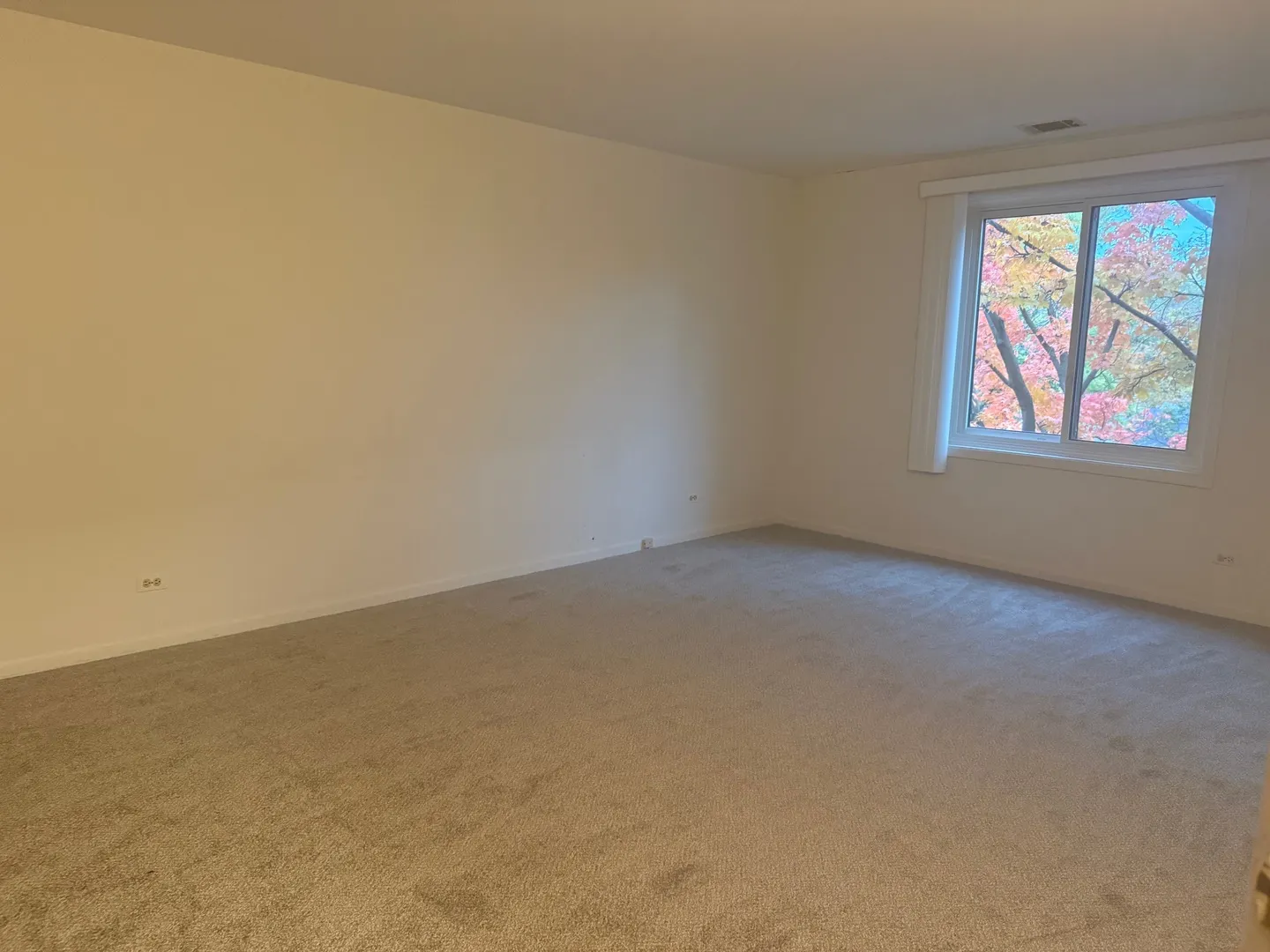 801 79th Street 310 IL