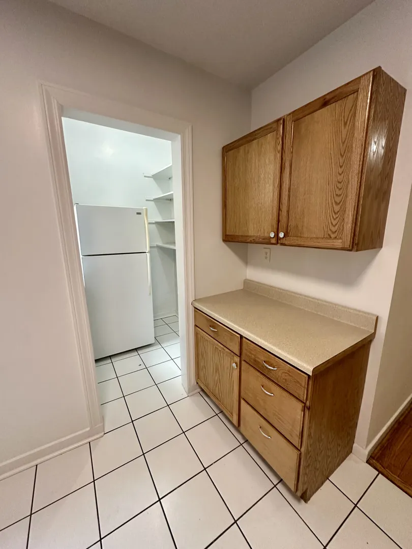 1008 W Argyle Street 2E IL