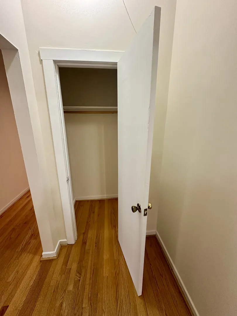 1008 W Argyle Street 2E IL